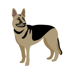 German shepherd on a white background vector illustration. Service dog. 