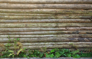 Log Cabin Or Barn Unpainted Debarked Wall Textured Horizontal Background.