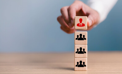 Organization and team structure symbolized with cubes, leadership manager team of company, business...