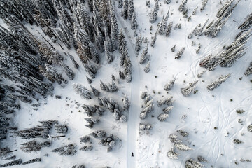 Fototapeta premium Aerial view of winter landscape atop alpine forest mountain top