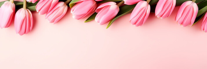 PINK TULIPS ON WHITE BACKGROUND. legal AI