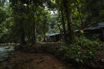 hut in the jungle of southeast asia, Sumatra, Indonesia