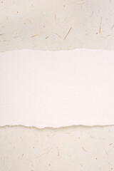 Torn ripped blank paper background in neutral color tones. Contains copy space.