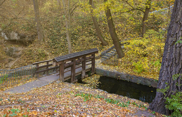 Beautiful Nature Autumn landscape with small bridge. Scenery view on autumn city park with golden yellow foliage in cloudy day.