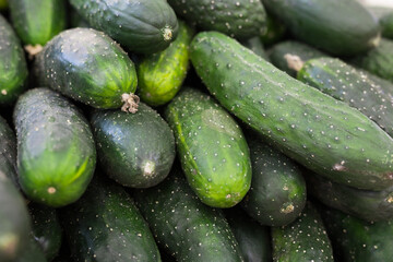 Cucumbers on market counter in wicker basket
