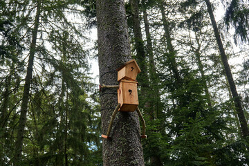 birdhouse on tree