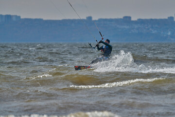 Obraz premium A mature male surfer rides a board with a kite on a windy autumn day across a large body of water. Splashes of water scatter to the sides.