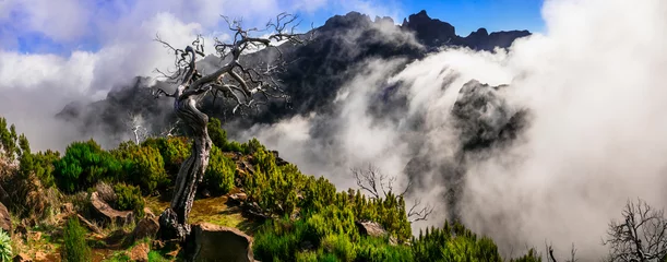 Gordijnen Madeira mountians walk (hike) . Trail for Pico Ruivo highest point in the island with stunning magic scenic views © Freesurf