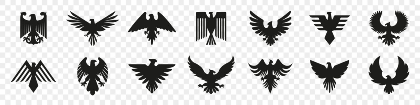 Eagle logo in black. Eagle or hawk icon design. Eagle emblems or eagle logos collection. Falcon, hawk, eagle icons. Business logo company