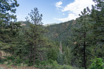 View from North Cheyenne Cañon Park in Colorado Springs, CO in the late afternoon on a sunny summer day, with trees, red rocks, and mountains in the landscape