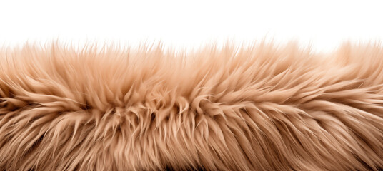 Fluffy, soft, peach fur close-up, side view. Fur background. A piece of beige fur. Fur carpet. Isolated on a transparent background.