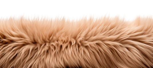 Fluffy, soft, peach fur close-up, side view. Fur background. A piece of beige fur. Fur carpet. Isolated on a transparent background.