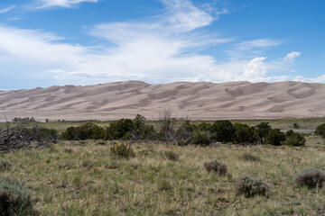 Fototapeta premium Great Sand Dunes National Park in Colorado on a sunny summer day, with mountains in the background