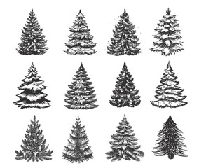 Christmas tree set hand drawn illustration	