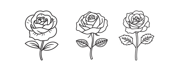 set of the black rose vector