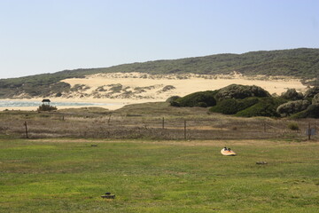 Vista de playas en Tarifa, Cádiz