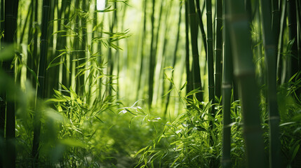 Lush greens and strong vertical lines of trees in a bamboo grove. - obrazy, fototapety, plakaty