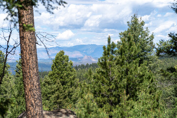 Pike's Peak as viewed from Lovell Gulch Trail in Pike National Forest near Woodland Park and...