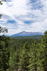 Pike's Peak as viewed from Lovell Gulch Trail in Pike National Forest near Woodland Park and Colorado Springs, CO on a sunny summer afternoon