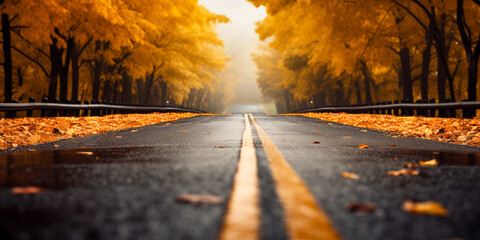 Low Angle, Autumn Leaves on the Ground. Empty road in city in autumn time.