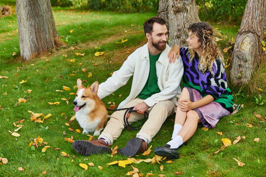 happy man looking at curly woman in cute outfit sitting near tree with corgi dog in autumnal park