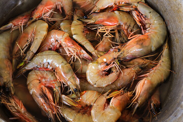 Close up - fresh red langoustine shrimps, prawns on local food market. Outdoor seafood, cookery, street food concept. view of seven very fresh spot prawns. royal red shrimp.
