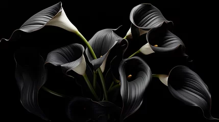 Fotobehang A dignified display of dark calla lilies against a black matte background. Condolences, funeral announcement, farewell.  © Dannchez