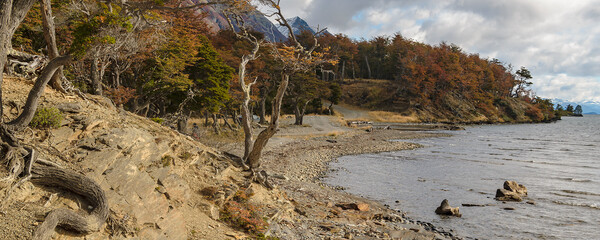 Torito bay, tierra del fuego, argentina