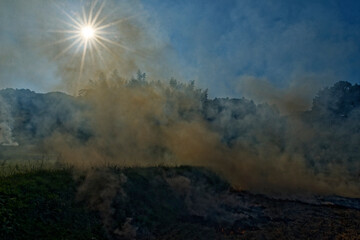 畑を焼いてそこから出た灰を肥料にして畑を作るという、原始的な農業