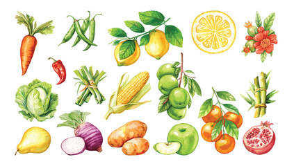 Watercolor painted collection of vegetables and fruits. Hand drawn fresh food design elements isolated on white background.