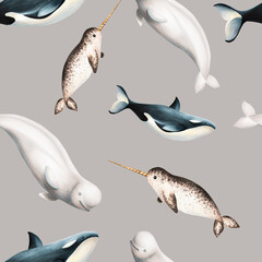 Watercolor seamless pattern with beluga, killer whale and narwhal isolated on white background. Hand painting realistic Arctic and Antarctic ocean mammals.  © Natalia