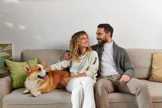 happy couple in casual winter outfits sitting on couch and cuddling corgi dog in modern apartment