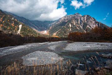 Yellow red pine trees alongside Azusa river and have mount Yake in background during autumn period in Kamikochi national park in Matsumoto, Nagano, Japan, Beautifully colored leaves in forest