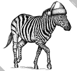 Vintage engraving isolated zebra horse set dressed christmas illustration ink santa costume sketch. Wild equine background nag mustang animal silhouette new year hat art. Black and white vector image