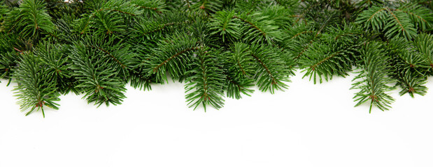 Christmas tree border isolated on white background, Xmas spruce, green fir pine branch, greeting card template