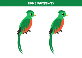 Find 3 differences between two cute cartoon quetzal.