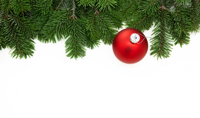 Christmas greeting card, red Xmas bauble on fir twig isolated on white background
