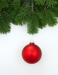 Christmas season greeting card template, red Xmas bauble hanging on fir twig isolated on white background, 