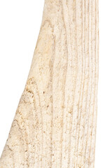 Part of driftwood isolated on white