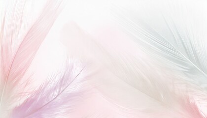 Abstract Feather Background Art Illustration