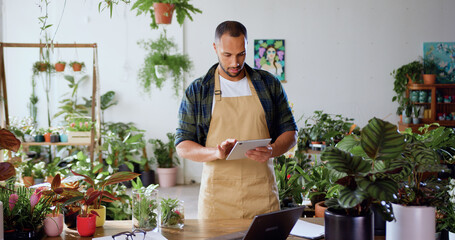 African American man checking green plants in flower shop and using tablet touching screen. Florist...