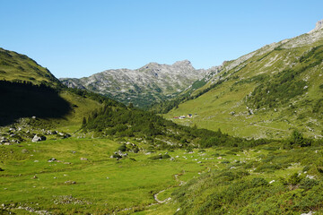 Lech valley in tha Austrian Alps, not fat from the town Lech
