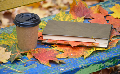 autumn maple leaf and a glass of hot coffee or tea on the cover of a book. nearby are bright red leaves. hobbies and relaxation in the alleys of the park. beauty in nature. warming up with a hot drink