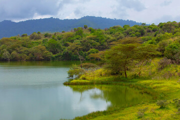 Fototapeta premium wild and beautiful African landscape with tree over lake.