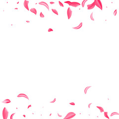 Fototapeta na wymiar Pink Cherry Summer Vector White Background.