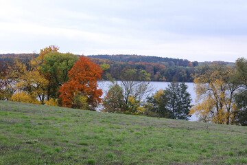 Obraz premium autumn with trees and lake in Brandenburg