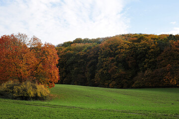 autumn in Uckermark