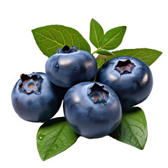 tasty dark blue blueberries isolated