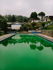 Fototapeta na wymiar the swimming pool is green because of moss which is rarely cleaned