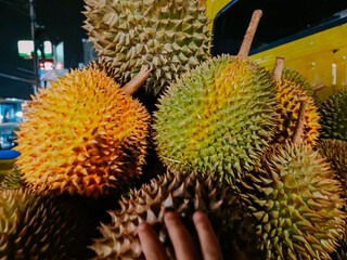 Ripe durian fruit ready to eat is being sold on the street for sale